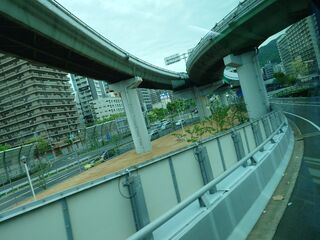 20250511_172720772.JPG