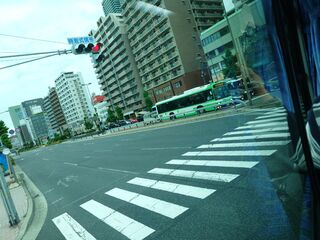 20250511_173000804.JPG