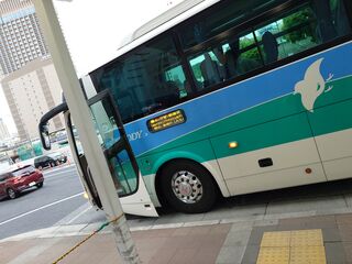 20250511_173337797.JPG