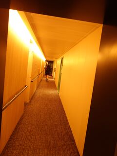 20250621_010424055.JPG