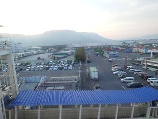 20250621_051634309.JPG