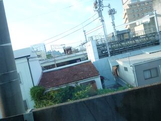 20250621_062317684.JPG