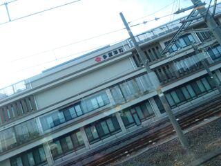 20250621_062812171.JPG