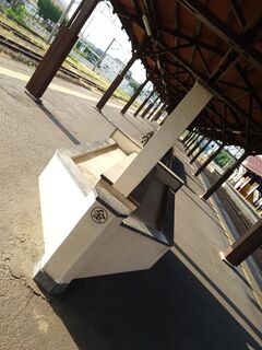 20250621_064836483.JPG