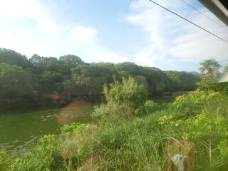 20250621_070716779.JPG