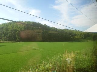 20250621_070726942.JPG