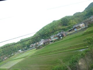 20250621_070934446.JPG