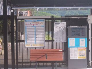 20250621_071407406.JPG