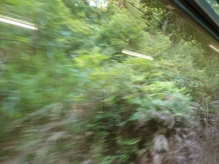 20250621_072819159.JPG