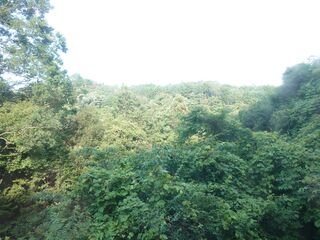 20250621_072916753.JPG