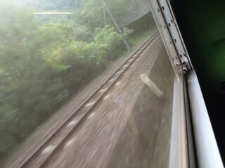 20250621_073403889.JPG