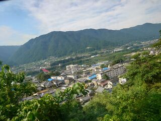 20250621_073653318.JPG