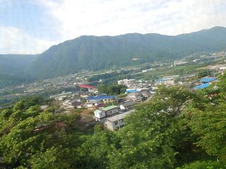20250621_073659376.JPG