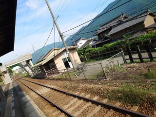 20250621_074524892.JPG