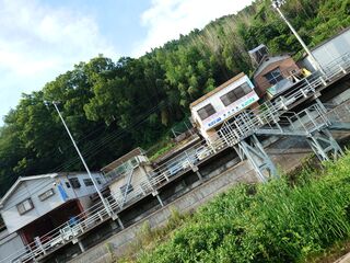20250621_074626117.JPG