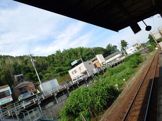20250621_074627898.JPG
