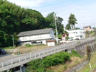 20250621_074955167.JPG