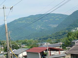 20250621_075216560.JPG