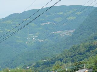 20250621_075219926.JPG