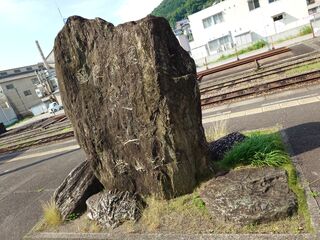 20250621_082829433.JPG