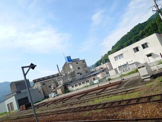 20250621_082843775.JPG