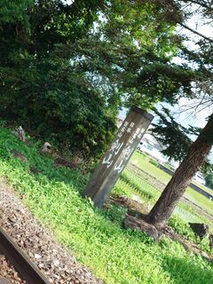20250621_082903318.JPG