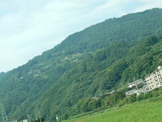 20250621_084051720.JPG