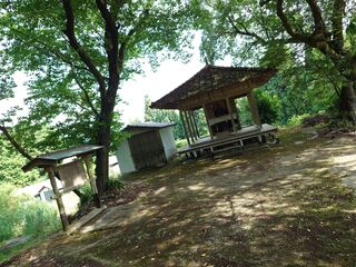 20250621_085729878.JPG