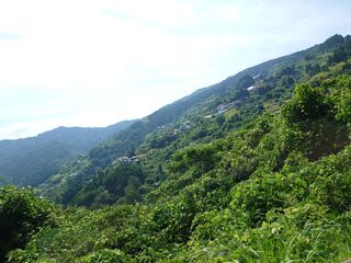 20250621_092812477.JPG