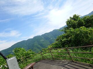 20250621_092932026.JPG