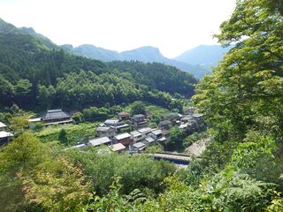 20250621_094341413.JPG
