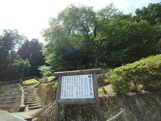 20250621_095203181.JPG