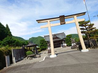 20250621_095331083.JPG