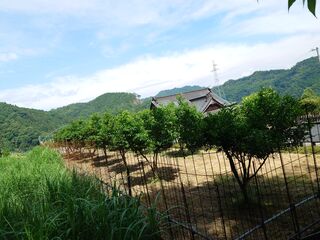 20250621_095512631.JPG