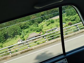 20250621_101026647.JPG