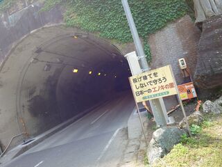 20250621_101948068.JPG