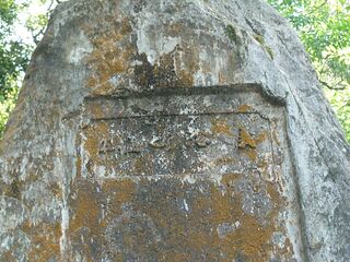20250621_102228695.JPG