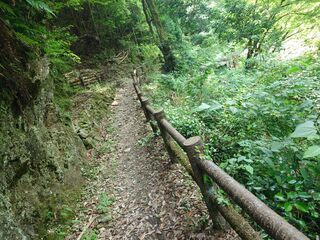 20250621_102315421.JPG