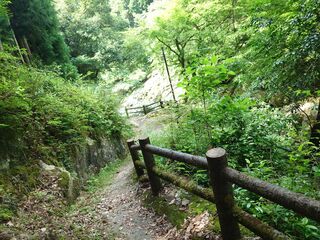 20250621_102330329.JPG