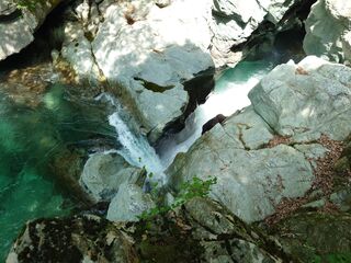 20250621_102452110.JPG