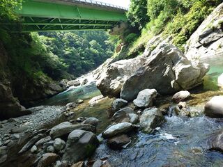 20250621_102639392.JPG