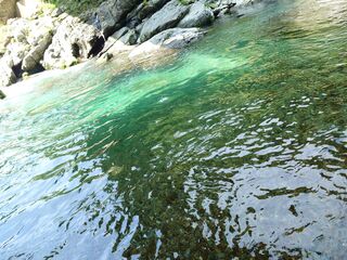 20250621_102746489.JPG