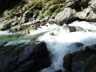 20250621_102944718.JPG