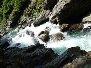 20250621_103146201.JPG