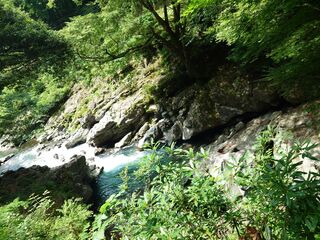 20250621_103352355.JPG