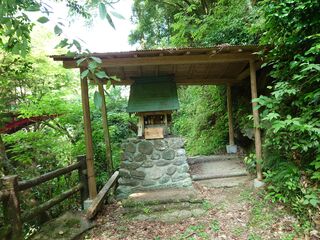 20250621_103411848.JPG