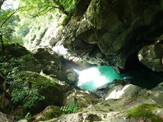 20250621_103510266.JPG