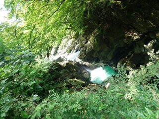 20250621_103807060.JPG