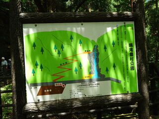 20250621_104208215.JPG