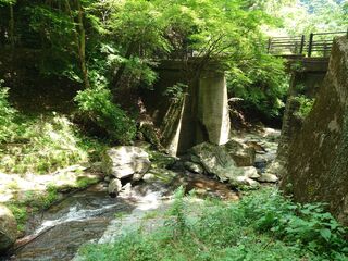 20250621_104436154.JPG